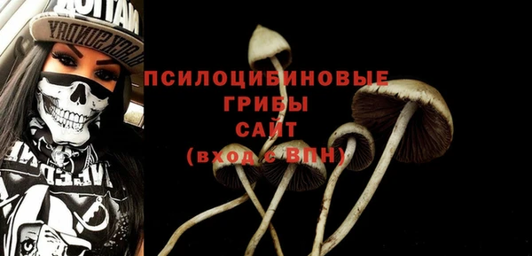 гашиш Касимов