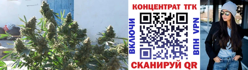 Купить  Гудермес  Дистиллят ТГК концентрат 