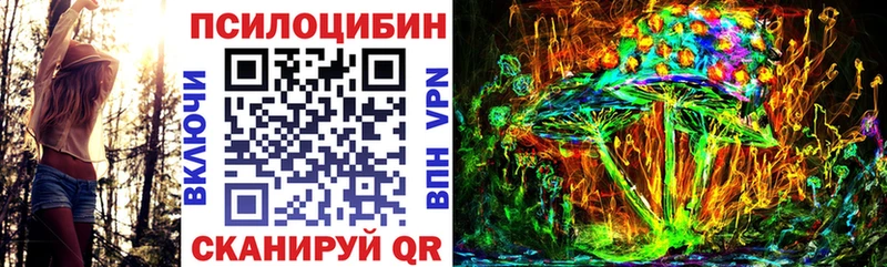 Купить закладки  Гудермес  Галлюциногенные грибы мухоморы 