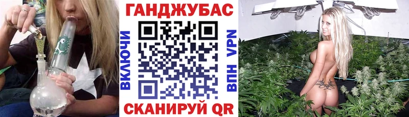 Купить закладки  Гудермес  Бошки марихуана сатива 